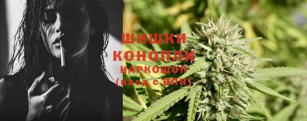 apvp Бородино