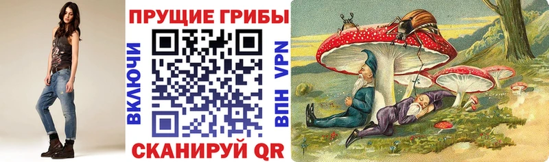 Псилоцибиновые грибы мухоморы  закладка  Староминская 